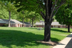 Residential Cottages at Eliada