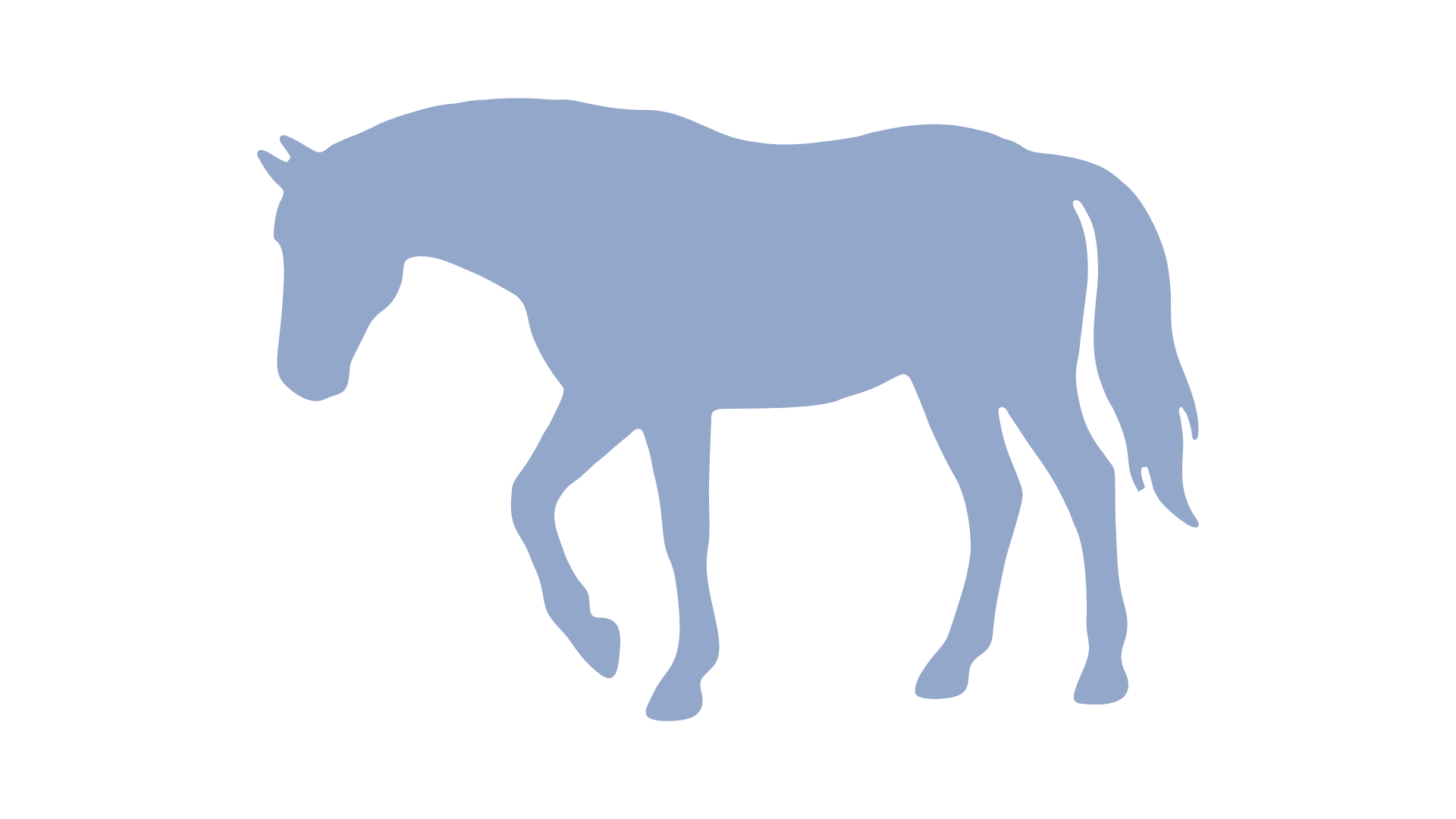 equine therapy asheville 